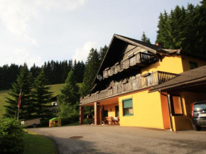 Comfortable Mansion in Wolfsberg near Ski Area Koralpe